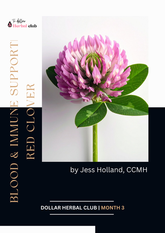 The 12-Month Herbal Protocol