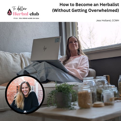 How to Become an Herbalist (Without Getting Overwhelmed)
