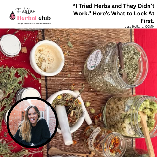 “I Tried Herbs and They Didn’t Work.” A Few Gentle Things to Check First.