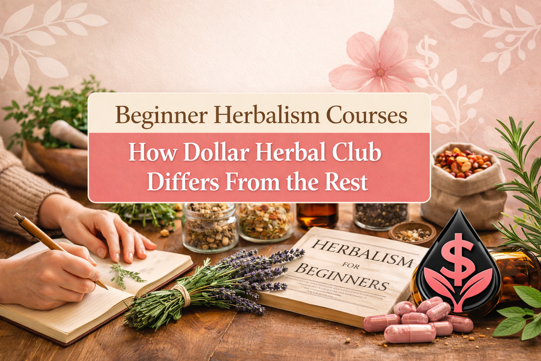 Beginner Herbalism Courses: What to Know Before You Start