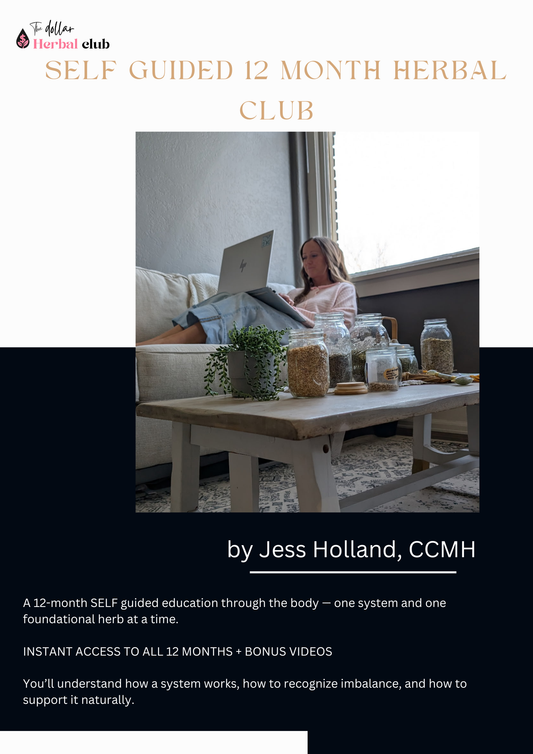 The 12 month protocol Upfront + BONUS VIDEOS